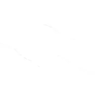 Gạch Viglacera KT3969 30x60