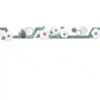 Gạch Viglacera KT3970 30x60