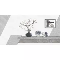 Gạch Viglacera SH-CE3616A 30x60