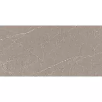 Gạch Viglacera SH-CM3602 30x60