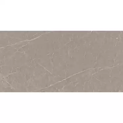 Gạch Viglacera SH-CM3602 30x60