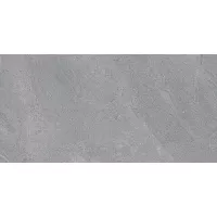 Gạch Viglacera SH-CM3604 30x60