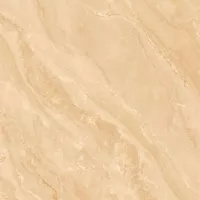 Gạch Viglacera SH2-GP6602 60x60