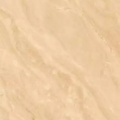 Gạch Viglacera SH2-GP6602 60x60