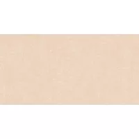 Gạch Viglacera T363 30x60