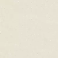 Gạch Viglacera TPS-GP610 60x60