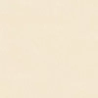 Gạch Viglacera TPS-GP673 60x60