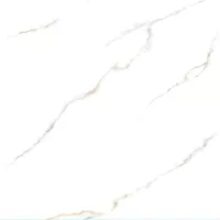 Gạch Viglacera VV-GP6606 60x60