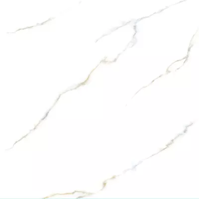 Gạch Viglacera VV-GP6606 60x60