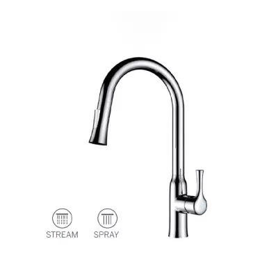 Vòi bếp Paul Schmitt PA302K