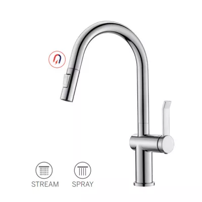 Vòi bếp Paul Schmitt PA312K