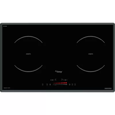 Bếp từ Canzy CZ-TL67A