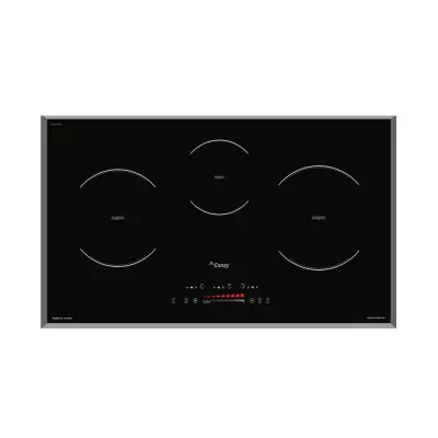 Bếp từ Canzy CZ-TL67GA