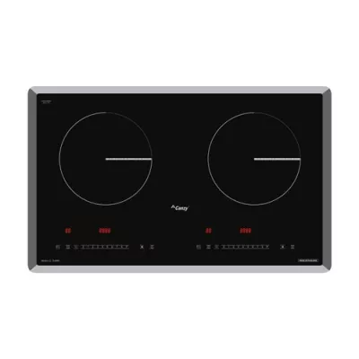 Bếp từ Canzy CZ-TL869D