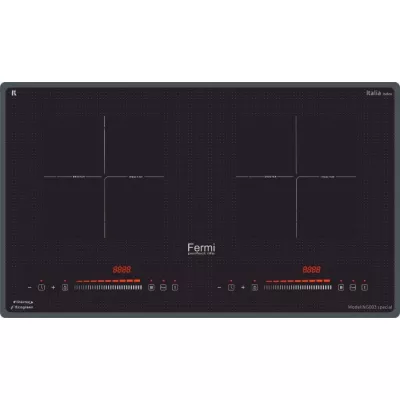 Bếp từ đôi Fermi NG003