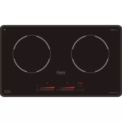 Bếp từ đôi Fermi NG009