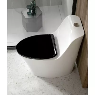 Bồn cầu 1 khối Shinko SH5510