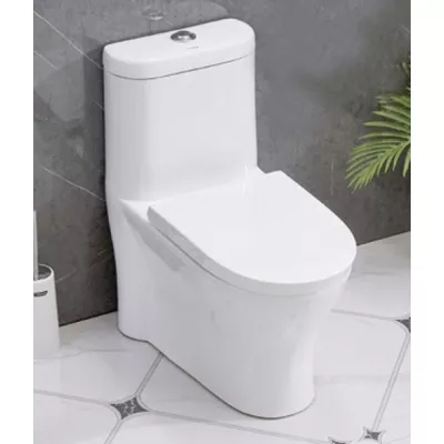 Bồn cầu 1 khối Shinko SH9901