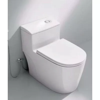 Bồn cầu 1 khối Shinko SH9904