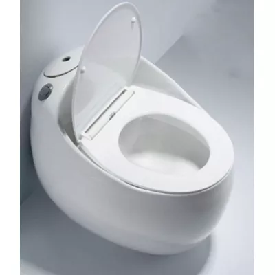 Bồn cầu 1 khối Shinko SH9910