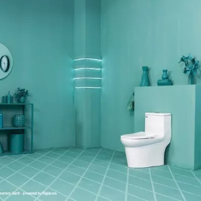 Bồn cầu 1 khối Viglacera S306