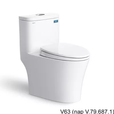 Bồn cầu 1 khối Viglacera V63