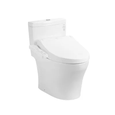 Bồn Cầu 1 Khối Washlet TOTO MS889CDRW17