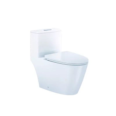 Bồn cầu 1 khối Caesar C1363