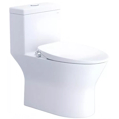 Bồn cầu 1 khối Caesar C1374F + TAF060 nắp rửa cơ