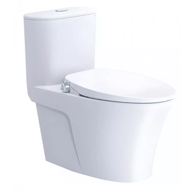 Bồn cầu 1 khối Caesar C1395F + TAF060 nắp rửa cơ