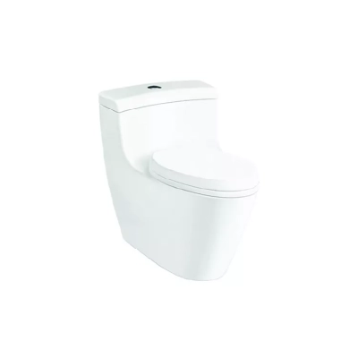 Bồn cầu 1 khối D&K DKC2389L