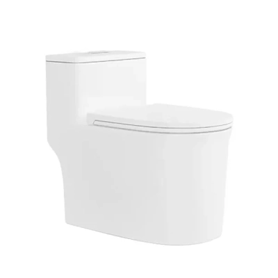 Bồn cầu 1 khối D&K DKC2424