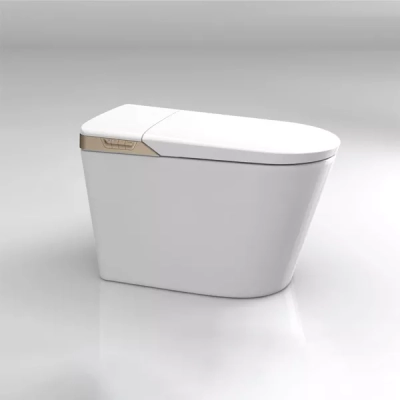 Bồn cầu thông minh Elimen CZ1027