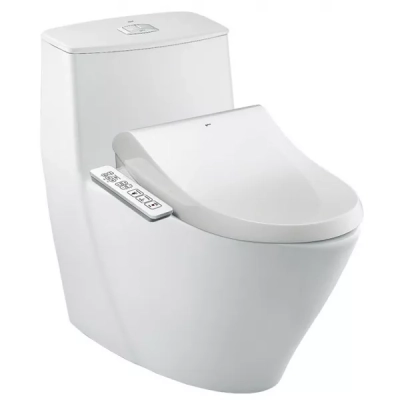 Bồn cầu nắp rửa điện tử Inax AC-919R+CW-H17VN