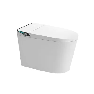 Bồn Cầu Thông Minh D&K DK-AC958E