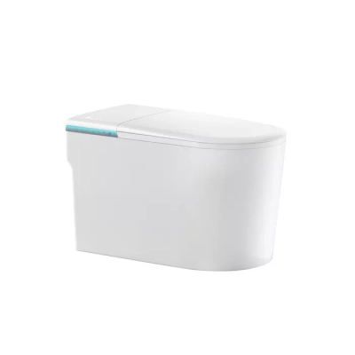 Bồn cầu thông minh D&K ST6903E