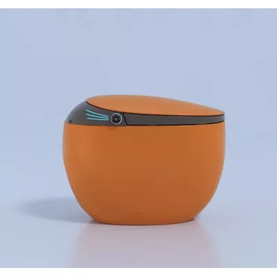 Bồn Cầu Thông Minh Dova SM1980C