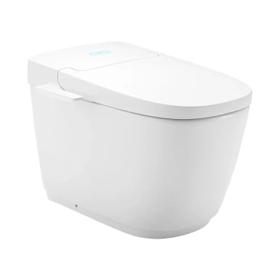 Bồn cầu điện tử Inax AC-816VN
