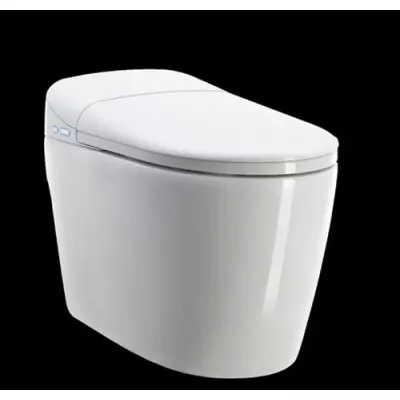 Bồn cầu thông minh Shinko SH6603