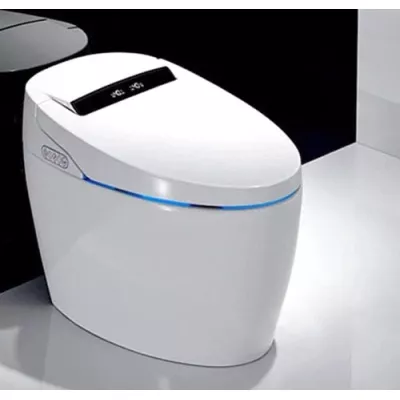 Bồn cầu thông minh Shinko SH6607