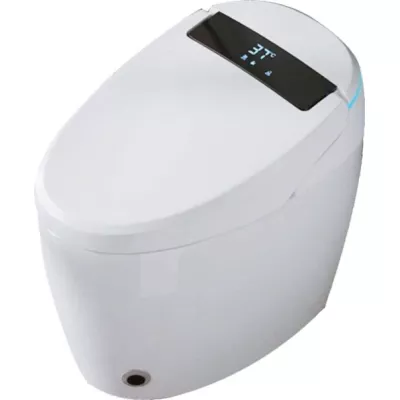 Bồn cầu thông minh Shinko SH6609