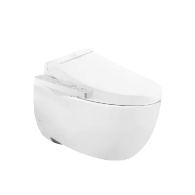 Bồn cầu treo tường TOTO CW812REA/TCF24460AAA/WH172AT/TCA465