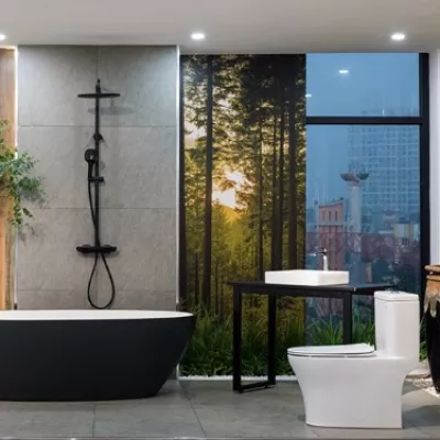 Bồn tắm đá Viglacera Platinum P.61.356