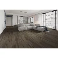 Gạch Á Mỹ 21.A.159.5509