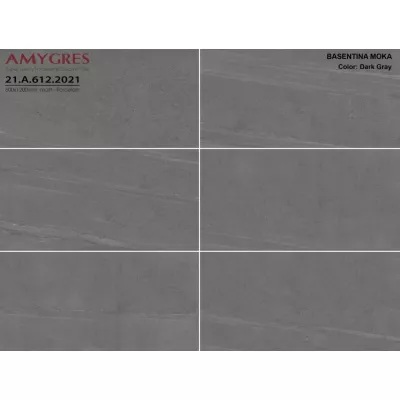 Gạch Á Mỹ 21.A.360.2021