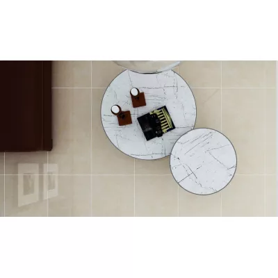 Gạch Á Mỹ 21.A.480.0791