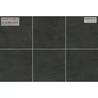 Gạch Á Mỹ 21.A.660.1670