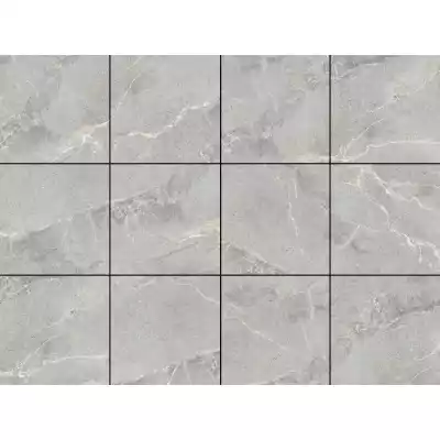 Gạch Á Mỹ 21.A.880.5002