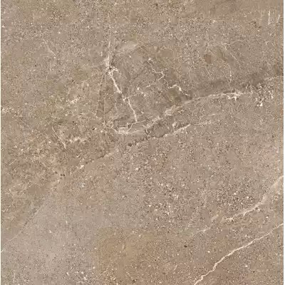 Gạch Á Mỹ 21.A.880.5003