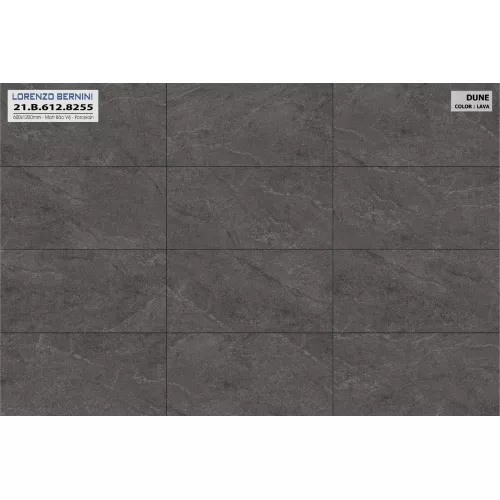 Gạch Á Mỹ 21.B.612.8255